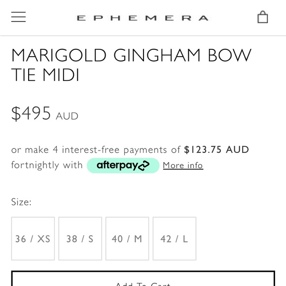 Ephemera Gingham Dress - Picture 10 of 10